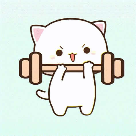 Mitao Cat