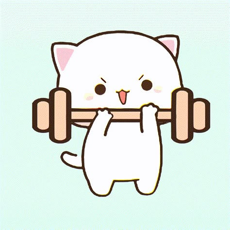 Mitao Cat