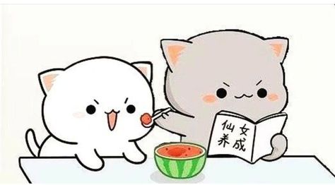 What is the Mochi Cat Origin? The Story Behind the Squishy Icon