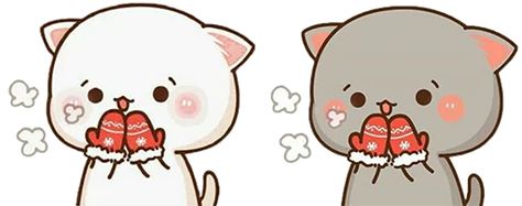 What Breed Is Mochi Cat? Understanding the Inspiration Behind the Adorable Character
