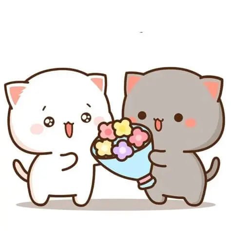 Discover Mochi Cat: The Cutest Character on the internet! - DuduBubuShop.com