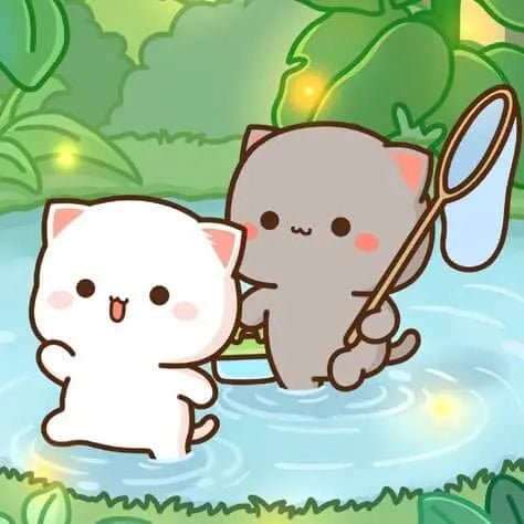 Peach and Goma: The Adorable Cat Duo Taking Over the Internet - DuduBubuShop.com