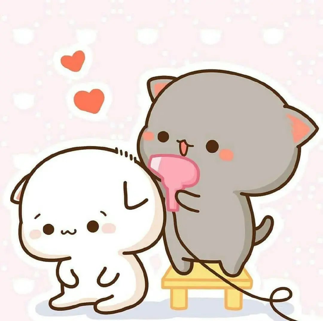 Which Is Peach, and Which Is Goma? A Guide to Telling Apart These Adorable Cats - DuduBubuShop.com