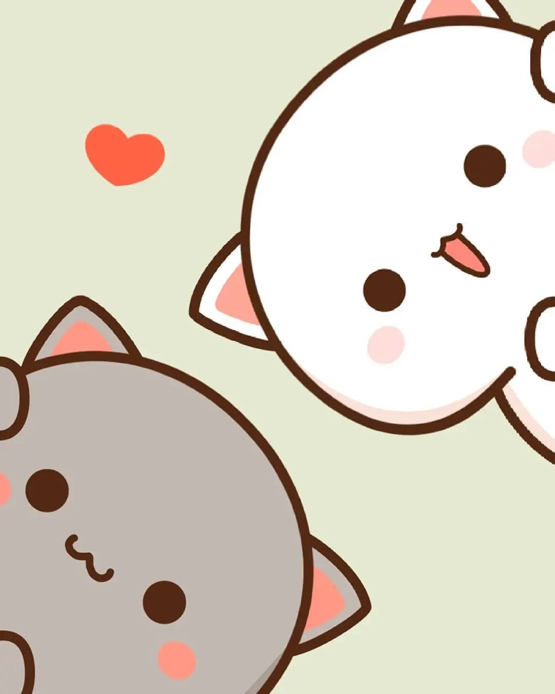 Who Are Goma and Peach? Meet the Adorable Cats Everyone Loves - DuduBubuShop.com