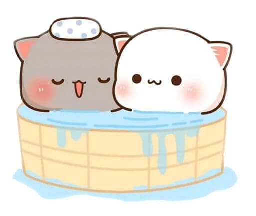 Why Are Peach and Goma Called the Sugar and Brownie Cats? – Origin of the Nickname - DuduBubuShop.com